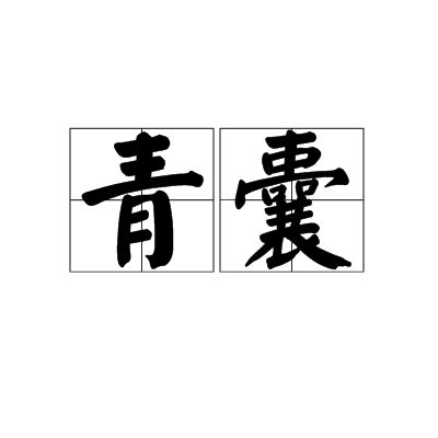 青囊|青囊（汉语词语）